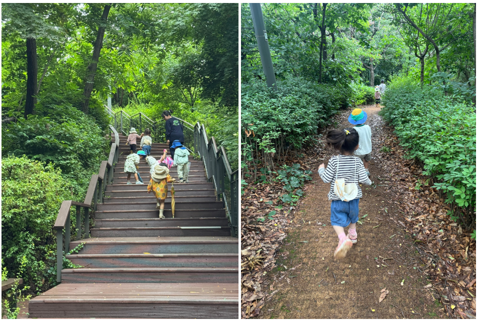 2025 성미산어린이집 등원설명회 | 공동육아와 자연놀이 이야기