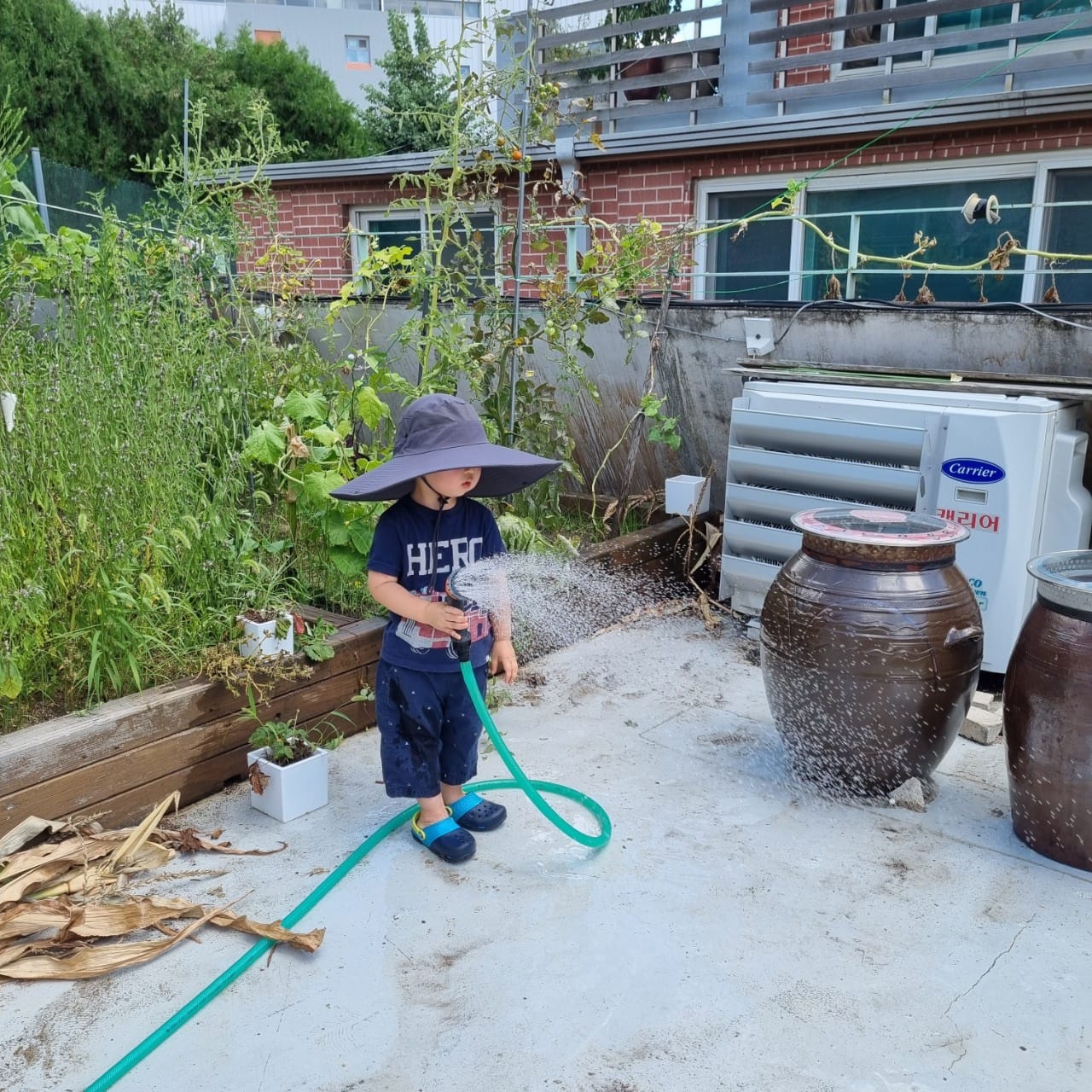 식목일 어린이집 활동, 마당에 나무를 심는 이유